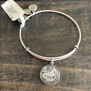 ⚙️TARNISHED ALEX AND ANI⚙️